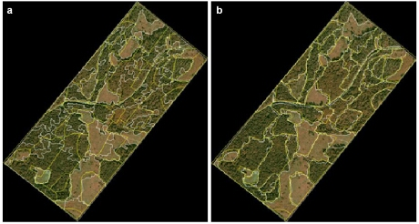 <p>a conceptualization of the world in which all items vary across Earth’s surface as constant fields, and values are available at all locations along the fields</p>