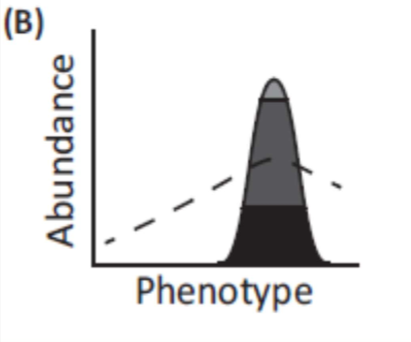 <p>What does this graph represent</p>