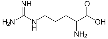 <p>Has a guanidine functional group and the side chain pKa is 12.5; Polar, charged, basic (positively charged).</p>
