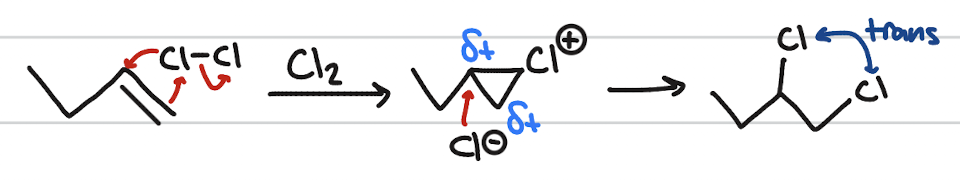 <p>addition of X and X</p><p>occurs when: diatomic halogen; alkene or alkyne</p><p>stereochemistry: anti-addition</p>