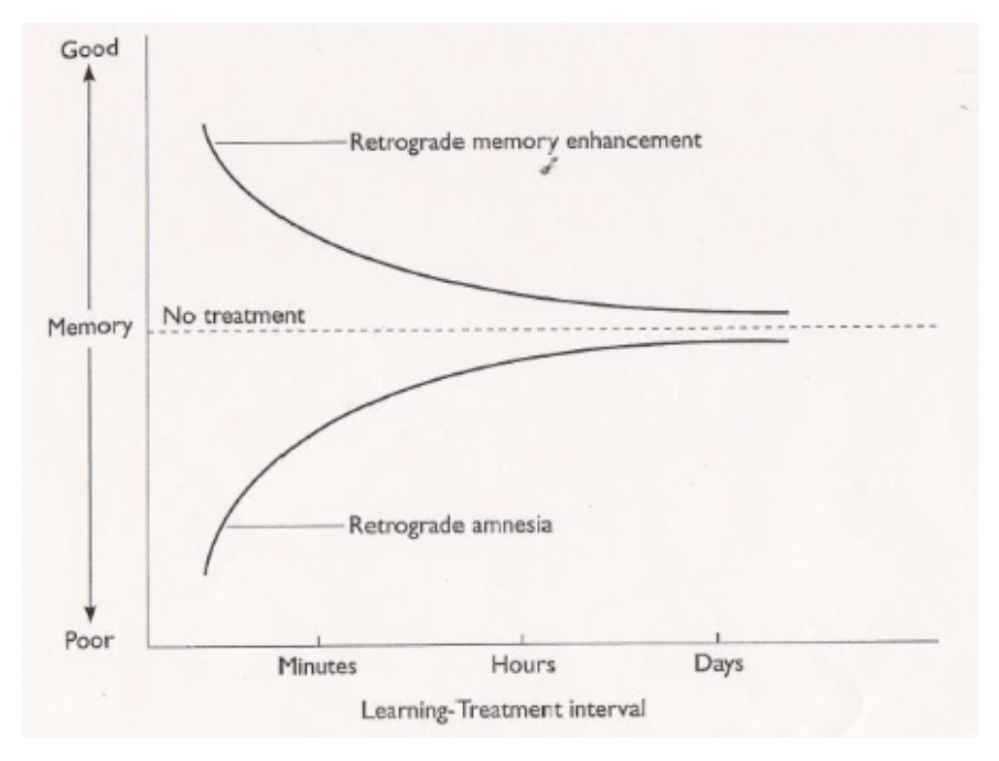 <p>memories can be modified during consolidation, however, the more time passes between memory and treatment, the less effective treatment will be</p>