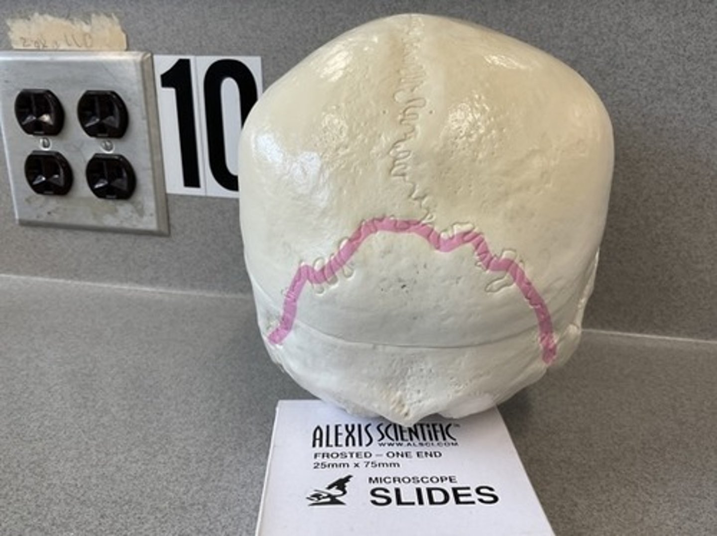 knowt flashcard image