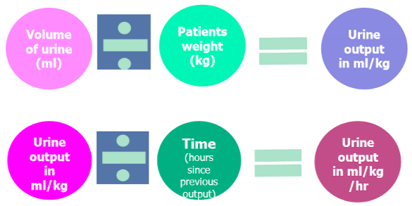 vol of urine  (ml) / pt wt = urine output in ml/kg

urine output in ml/kg / time (hours since prev output) = urine output in ml/kg/hour