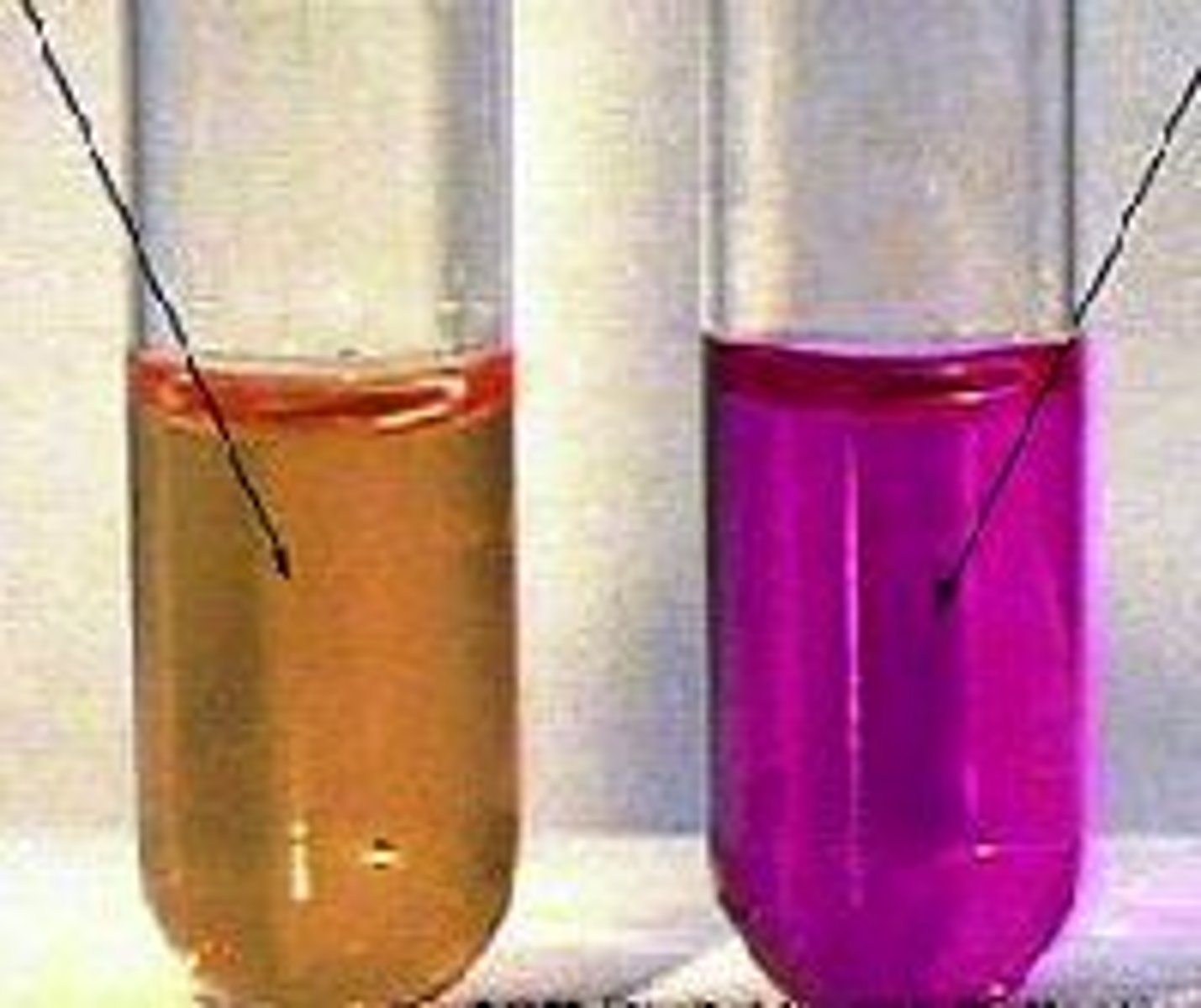 <p>1: neg</p><p>2: pos (pink)</p>