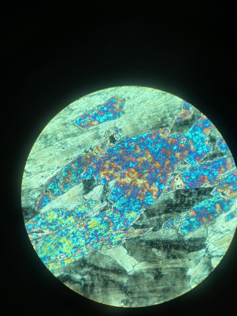 term image