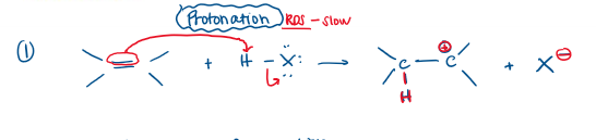 <p>Protonation (Step 1)</p>