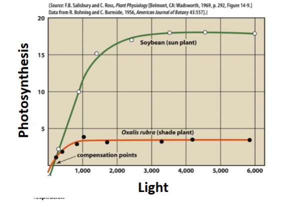 <p>What does this graph depict?</p>