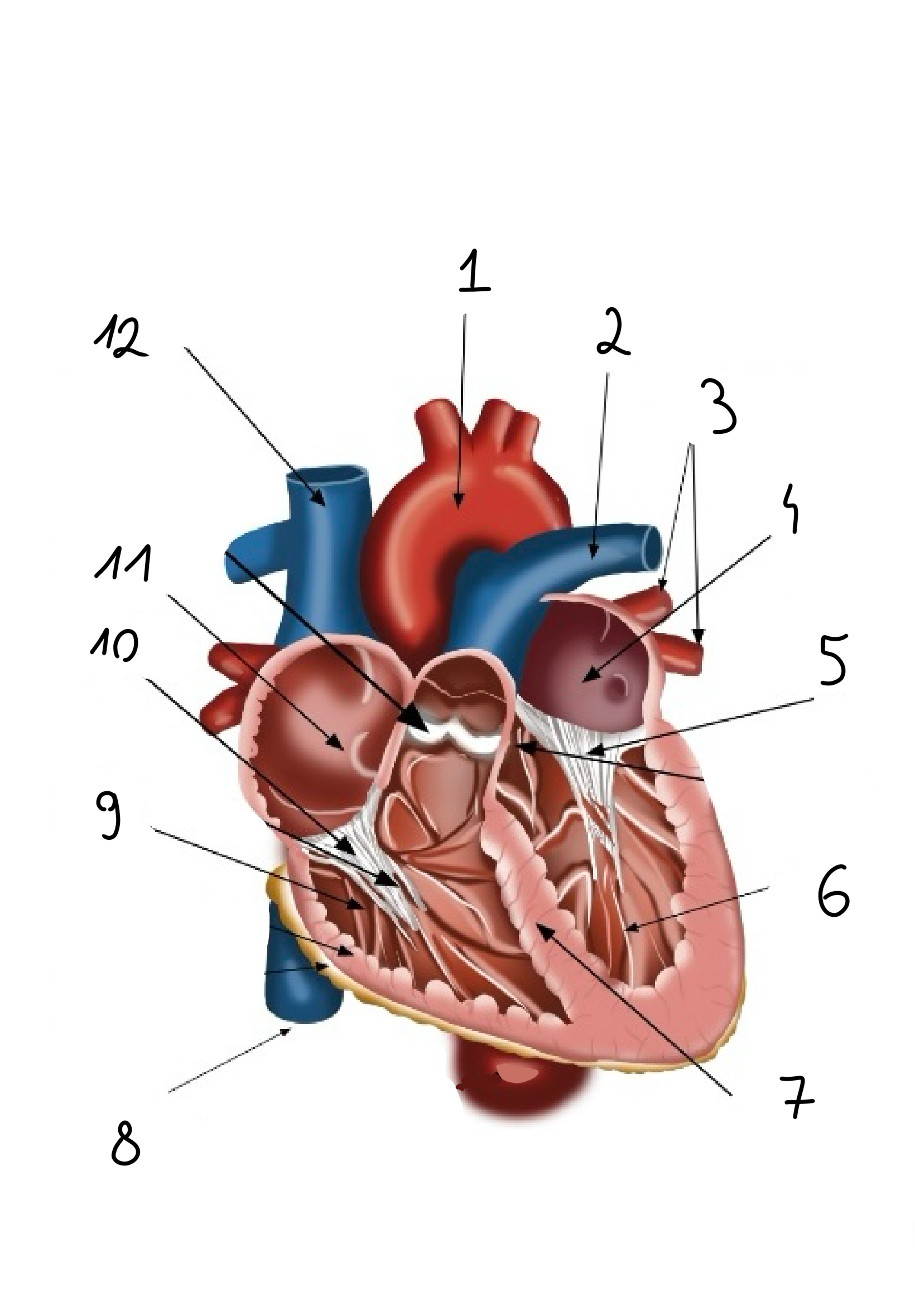 <p>1</p>