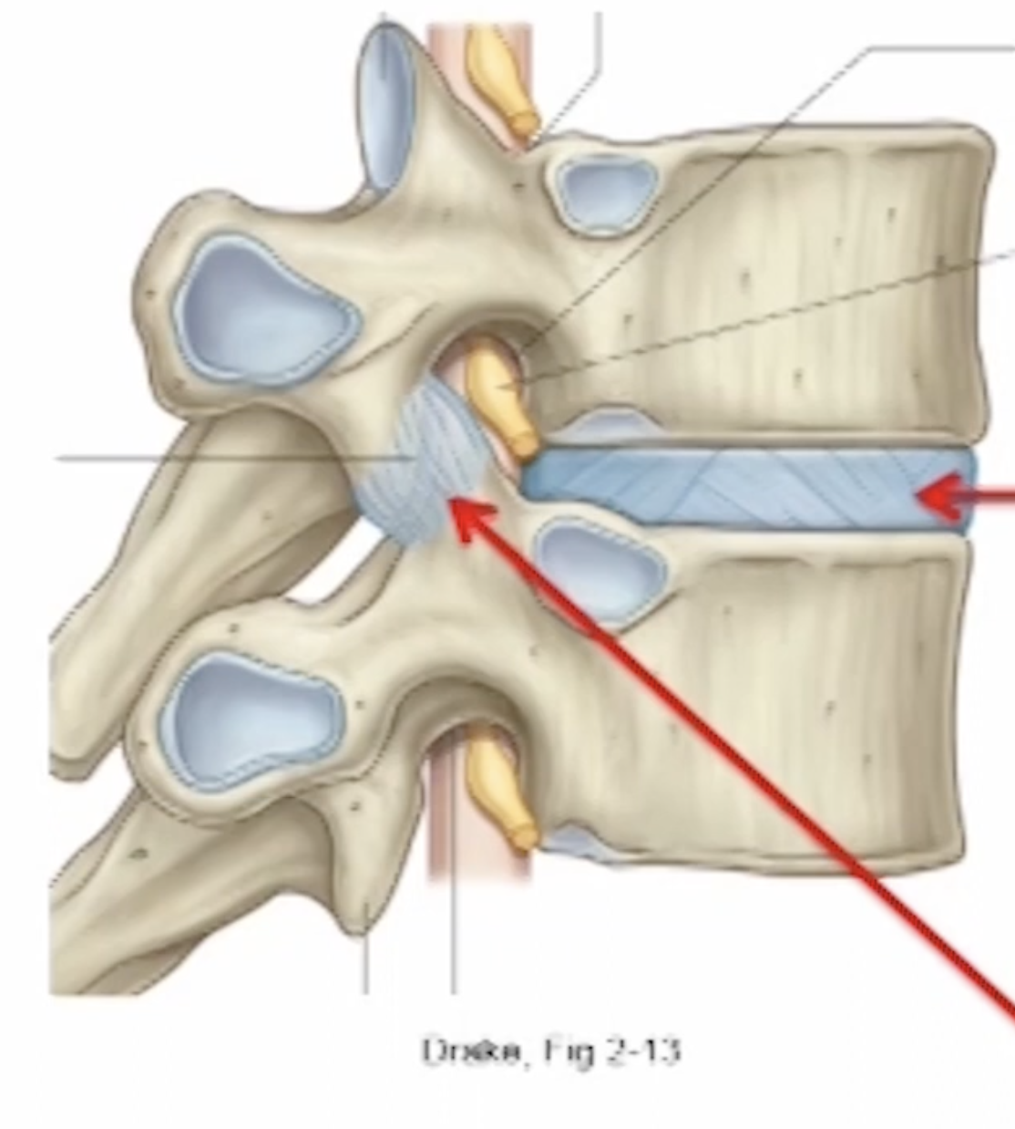 <p>Can you name these?</p>