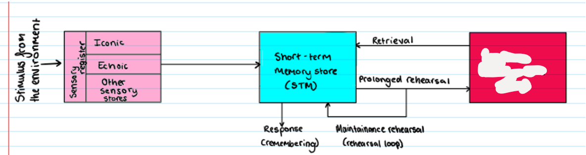 <p><strong>Multi Store Model</strong></p><p>what is missing?</p>