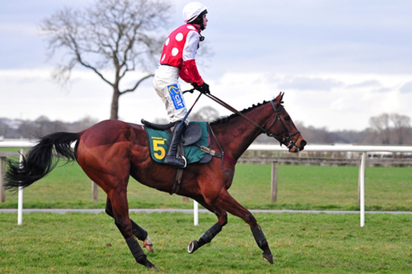 <p>for measuring distance especially in horse racing:</p><p>a five-furlong race</p>