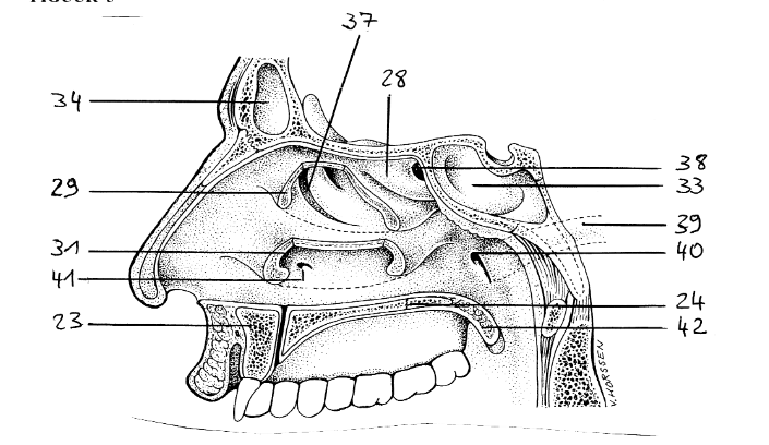 <p>23 </p>