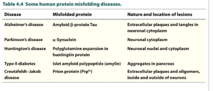 <p><strong>Protein misfolding diseases</strong></p>