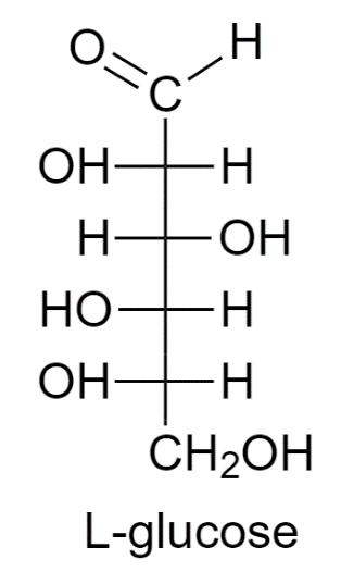 <p>the OH is on the left hand side of the chain</p>