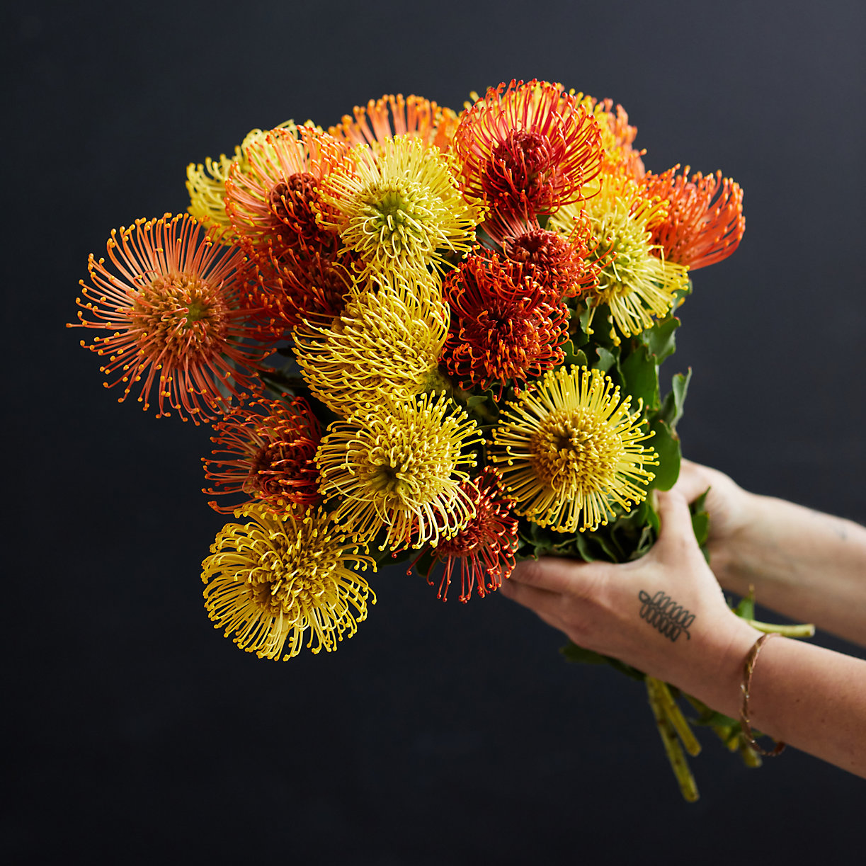 <p>pincushion protea</p>