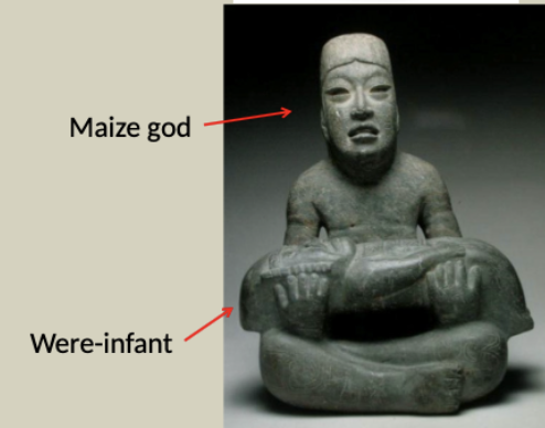 <p>Possible belief in “were-jaguars” mixed race of jaguars and people. Infantile representations </p>
<p>Many depictions of cleft head, which is believed to be a crack in the ground; for maize plant possibly</p>
<p>Overlapping attributes with maize and rain gods</p>