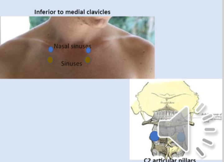 <p>anterior point: inferior to medial clavicles<br>posterior point: C2 articular pillars</p>