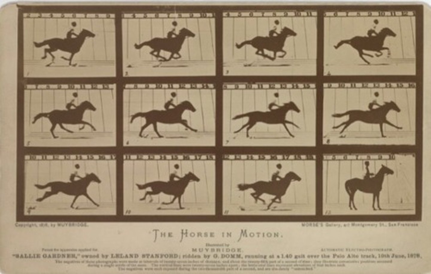 <p>Eadweard Muybridge, "Horse in Motion", 1878</p>