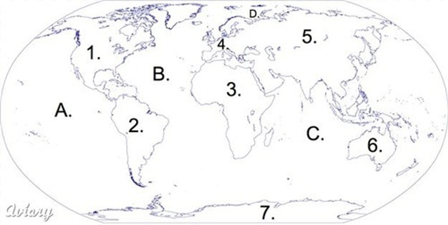 <p>What ocean is located at letter A</p>