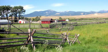 <p>Raising animals on large open land for meat or wool.</p>