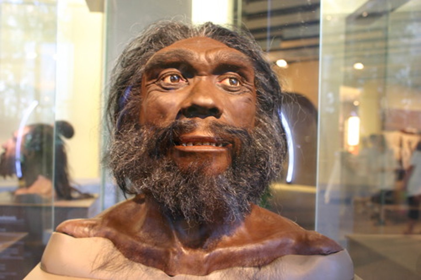 <p>Europe and Africa, 700-130 KYA. from erectus, bigger brain and body</p>