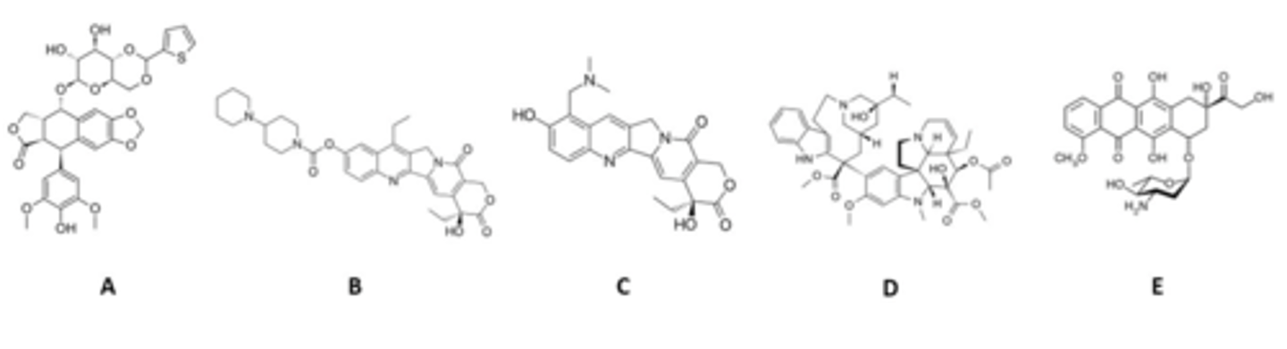 <p>Which one of the following is not a topoisomerase poison?</p>