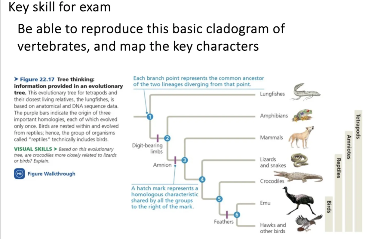 <p>explain </p>