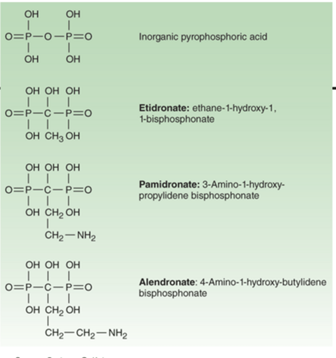 <p>bisphosphonates:</p>