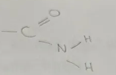 <p>Amido Functional Group</p><p>end in -anamide</p><p>General formula C<sub>n</sub>H<sub>2n+1</sub>CONH<sub>2</sub></p>