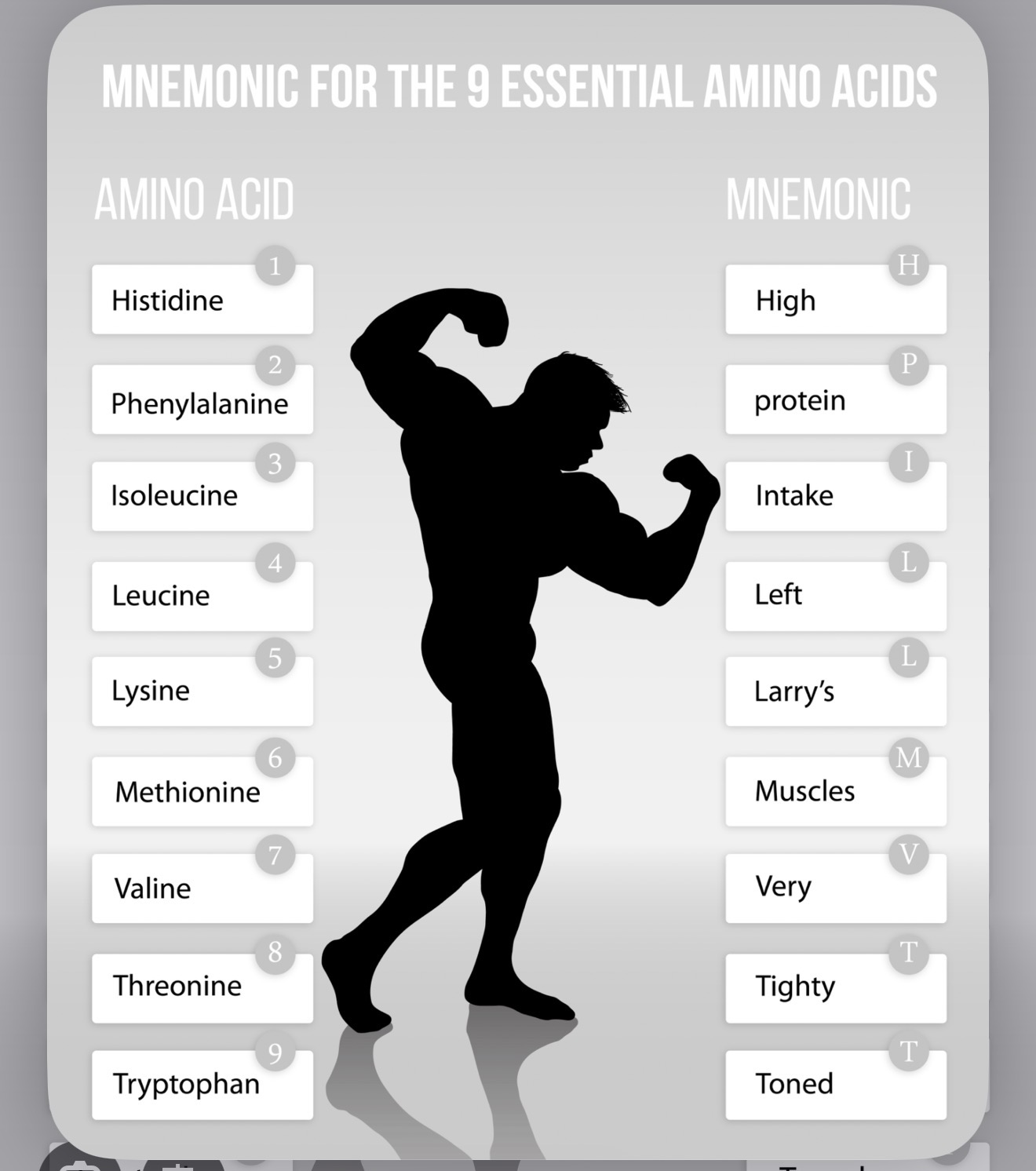 <p>From Diet: HPILLMVTT</p><p>Histidine</p><p>Phenylalanine</p><p>Isoleucine</p><p>Leucine</p><p>Lysine</p><p>Methionine</p><p>Valine</p><p>Threonine</p><p>Tryptophan</p>