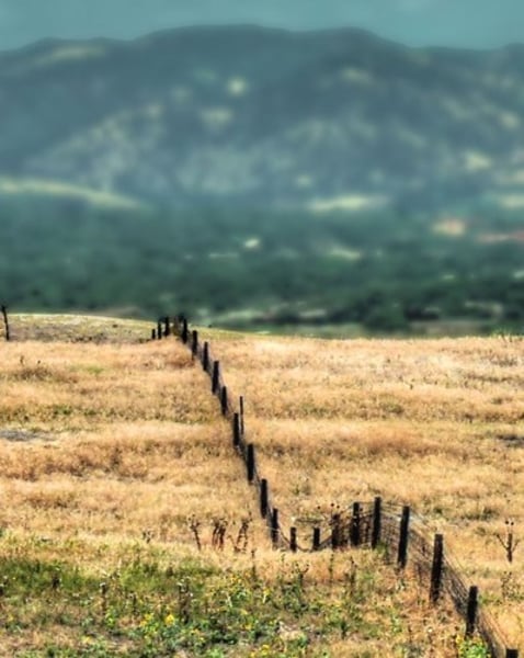 <p>Mary Ainsworth</p>