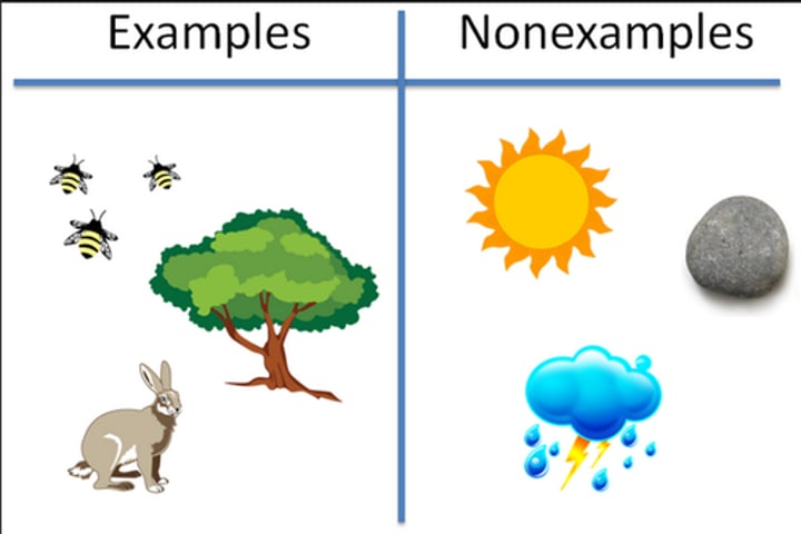 <p>relating to or resulting from living things</p>