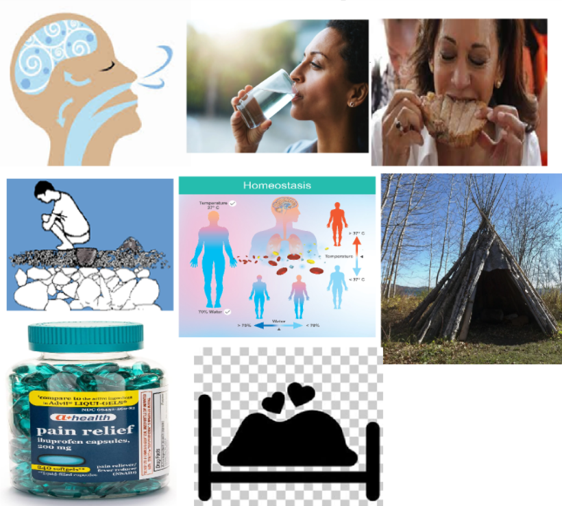 <ol><li><p>oxygen </p></li><li><p>water</p></li><li><p>Nutrition</p></li><li><p>Elimination </p></li><li><p>physiological homeostasis</p></li><li><p>Rest and sleep</p></li><li><p>Avoidance of pain</p></li><li><p>Sex (basic motive but not considered essential to survival)</p></li></ol><p></p>