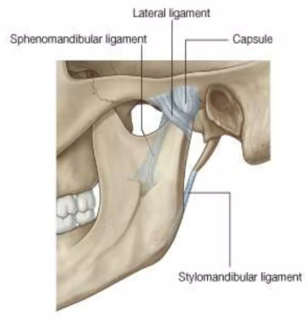 <p><span style="color: #000000"><span data-name="black_small_square" data-type="emoji">▪</span></span><span style="color: #000000"> Capsule that encloses the TMJ</span></p><p><span style="color: #000000"><span data-name="black_small_square" data-type="emoji">▪</span></span><span style="color: #000000"> Attached at the borders of the articulating surfaces of the mandibular fossa and eminence of the temporal bone and to the neck of the mandible</span></p>