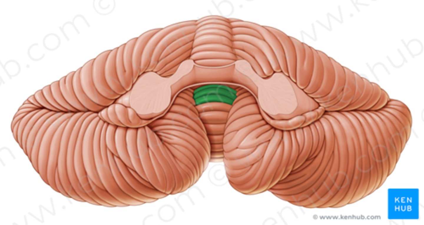 <p>PAN</p>