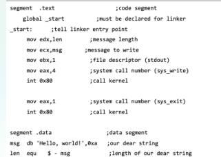 <p><strong>.text</strong></p><p>defines an area in memory that stores the instruction codes</p><p>fixed area</p>