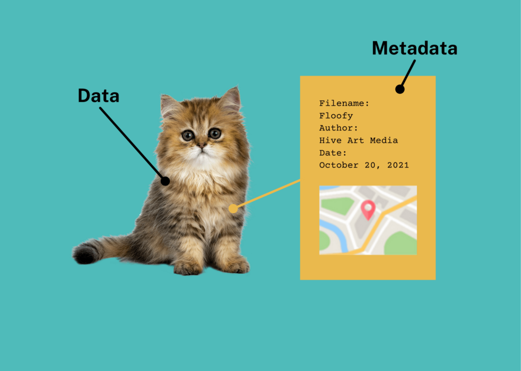 <p>data about data (<strong>ex</strong>: metadata of a photo <u>could be its file size or the time it was taken</u>)</p>