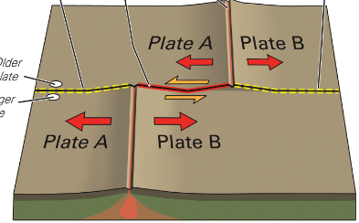 <p>When two plates slide past one another. No creation and no destruction</p><p>MOST occur in Oceanic crust</p>
