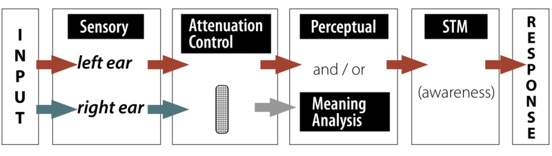 <p>Which model of attention is this and what does it do</p>