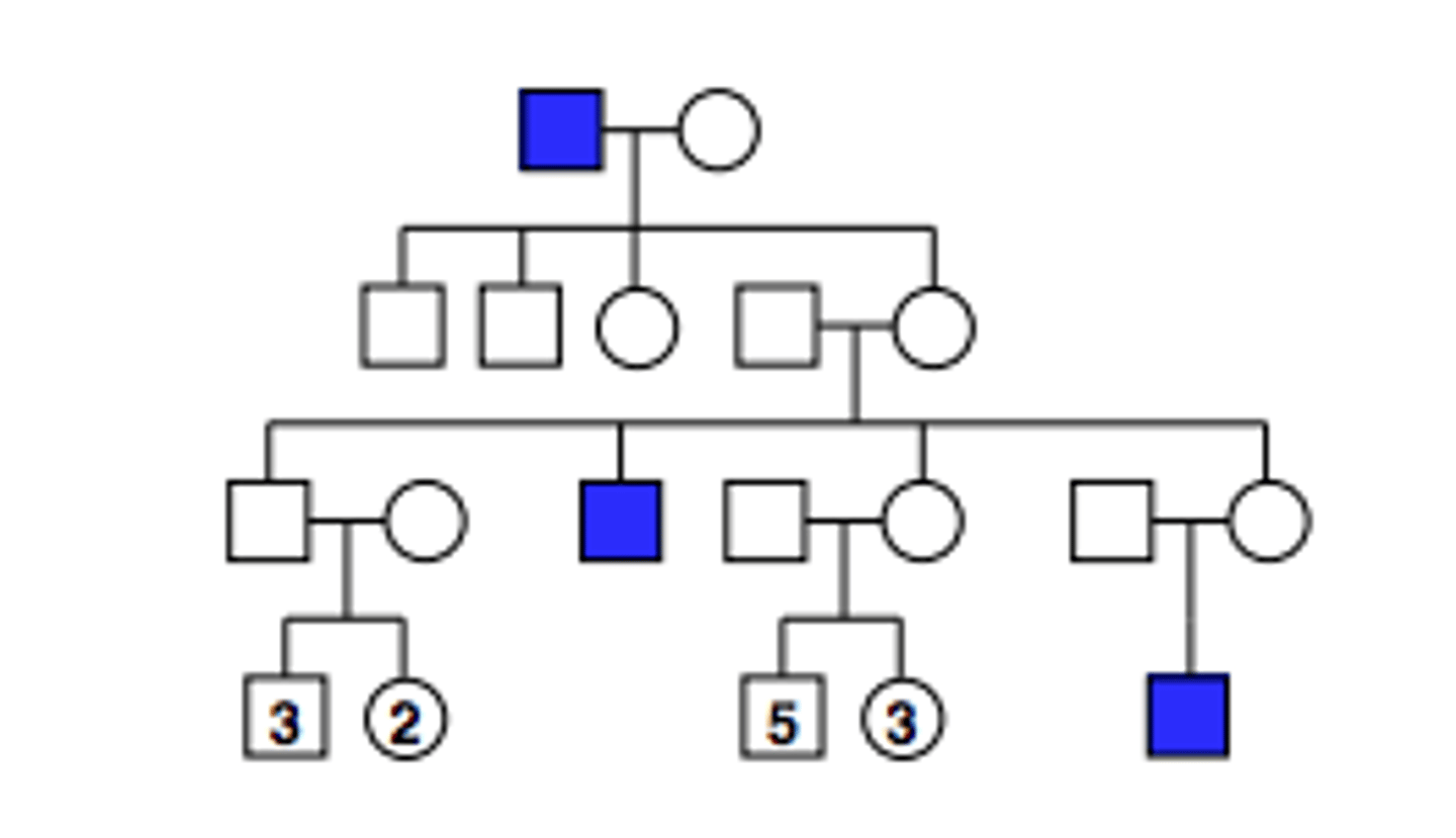 <p>Pattern of inheritance?</p>