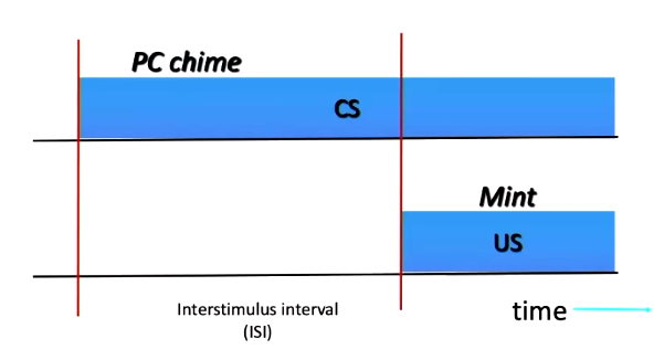 <ul><li><p>The distance between the start of the CS and the start of the US</p></li></ul><p></p>