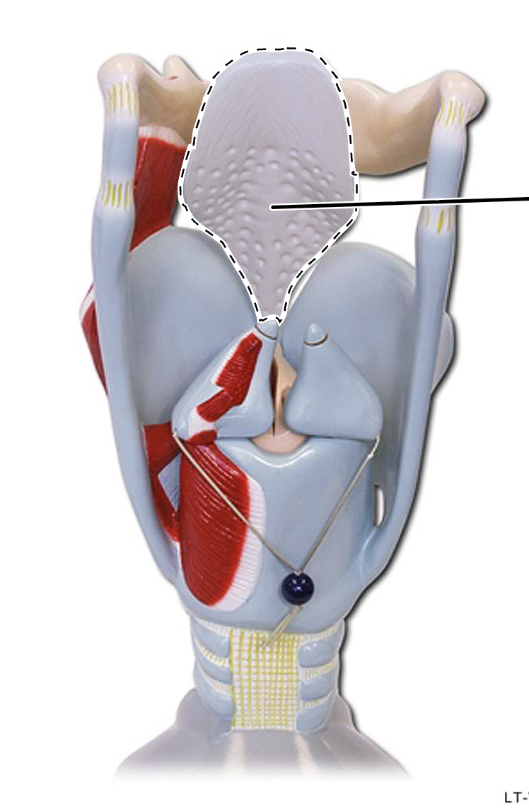 <p>What is this?</p>