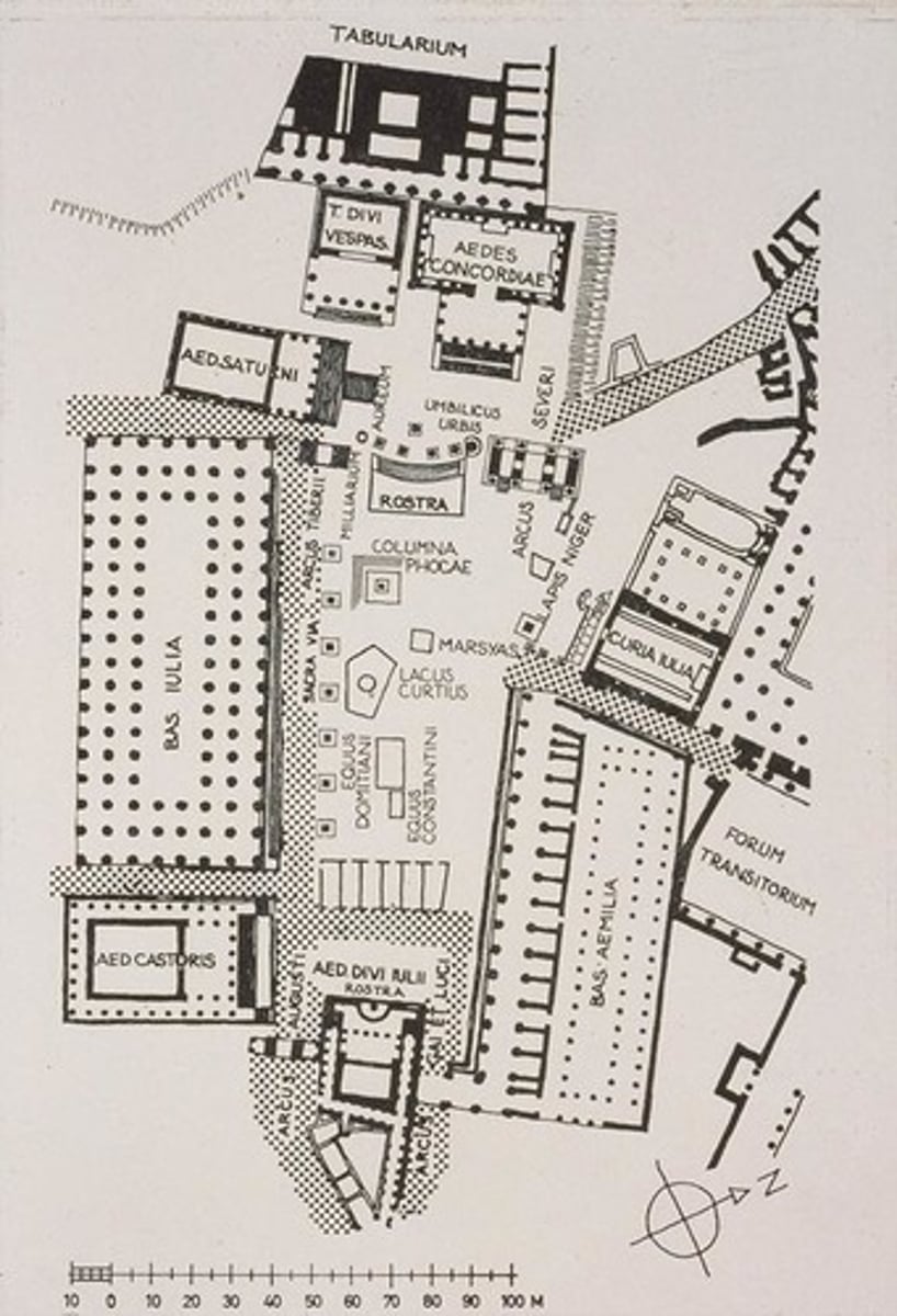 <p>market place, business district, senate, public buildings</p>