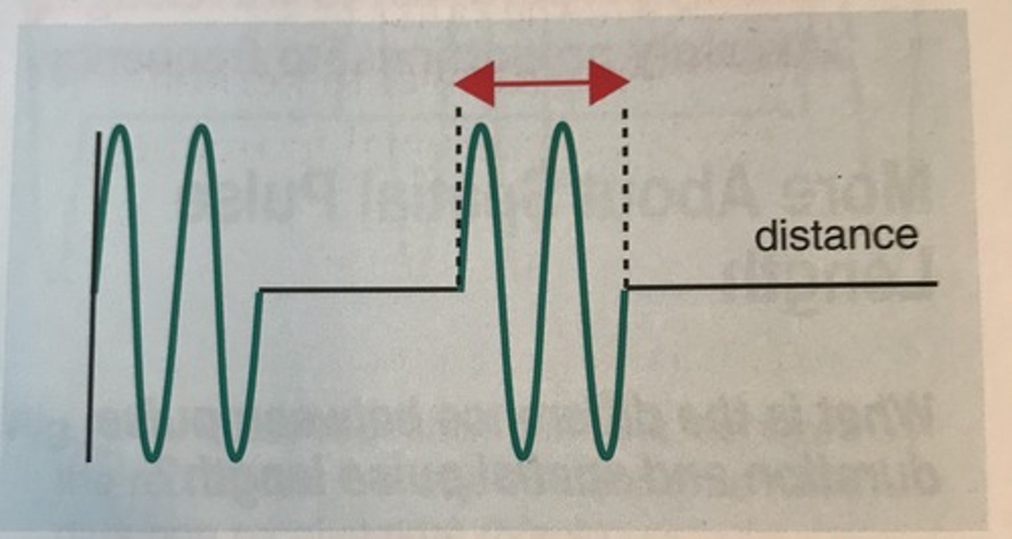 <p>the distance that a pulse occupies in space from the start to the end of a pulse</p>
