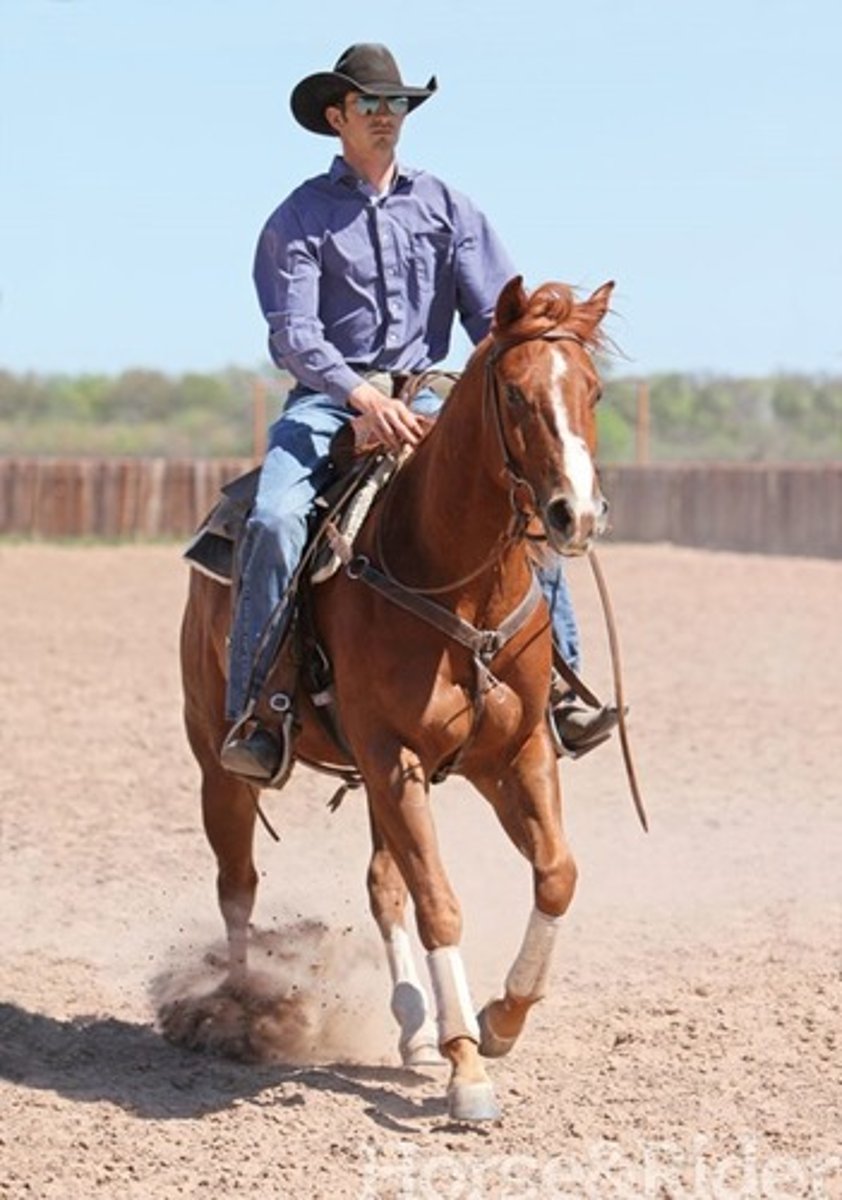 <p>to go horseback riding/bike riding</p>