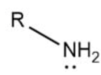 <p>Amino group</p>