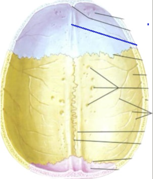 <p>Đây là chi tiết gì ?</p>