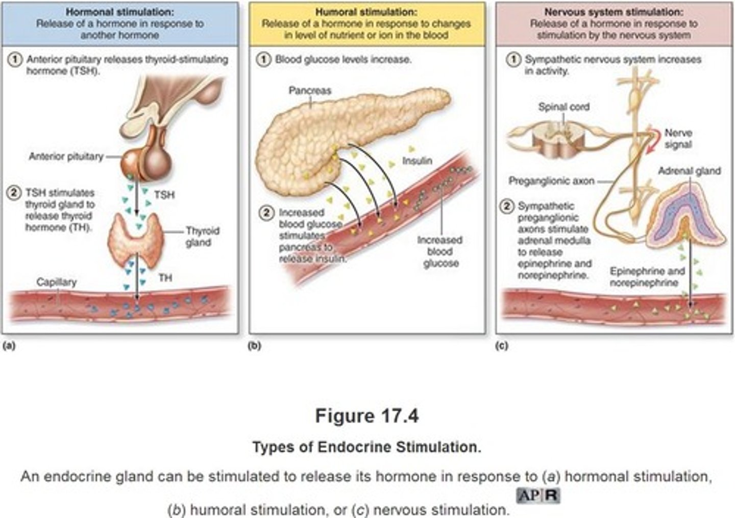 <p>hormonal</p>