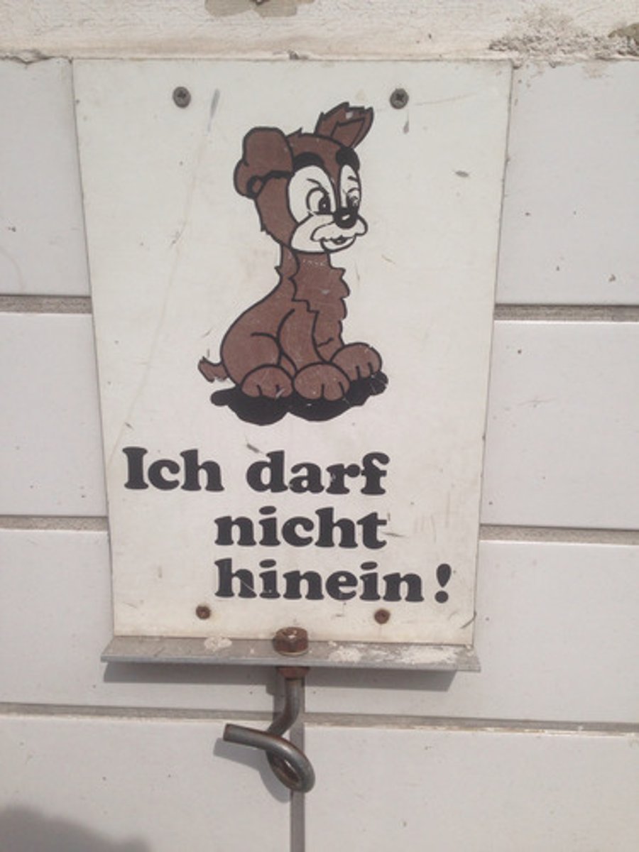 <p>it may</p>