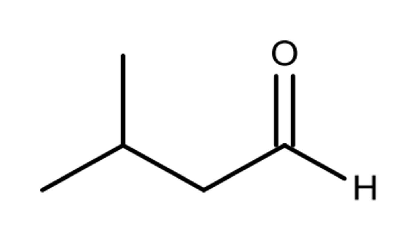 <p>Skeletal formula for 3-methylbutanal</p>